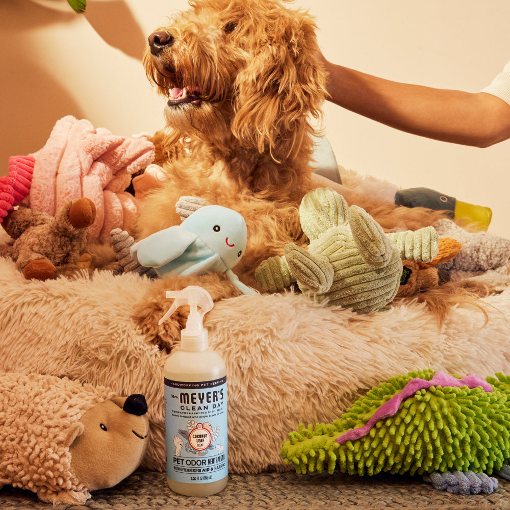 Pet Cleaning Essentials Set - for Convenient Coordinated Home Care