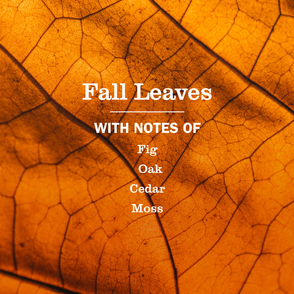 Mrs. Meyers Fall Leaves Dish Soap - for Convenient Dishwashing