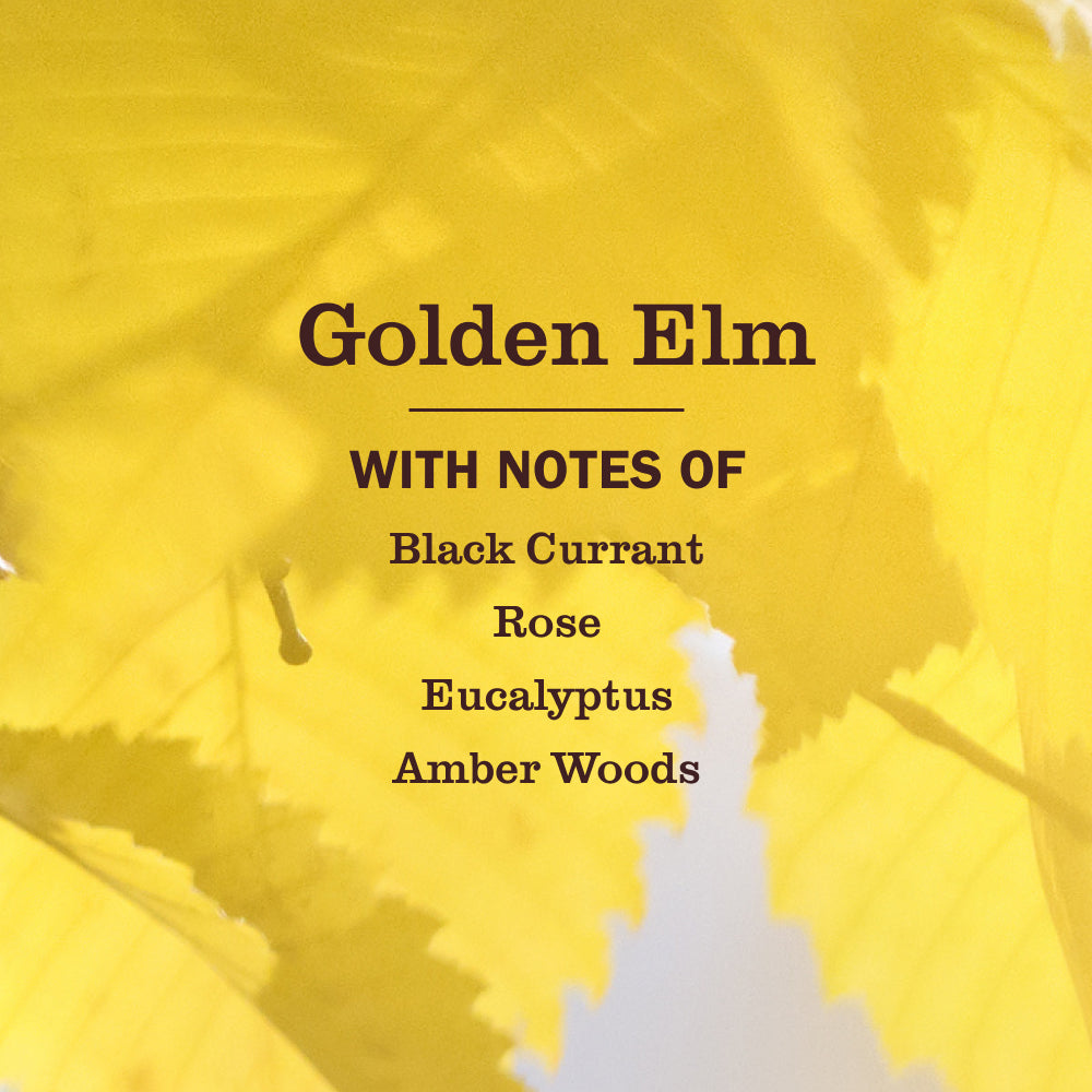 Golden Elm Liquid Hand Soap - for Convenient Hand Care