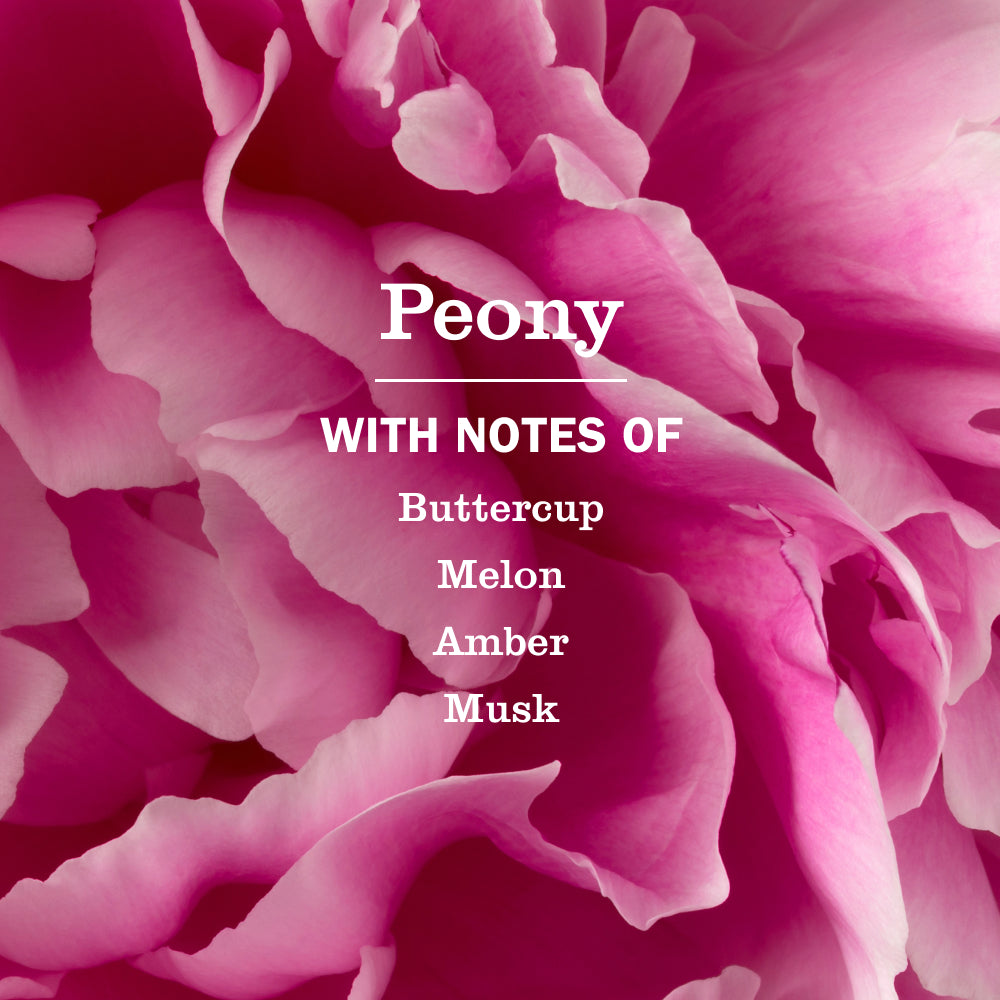 Peony Liquid Hand Soap and Refill Set - for Convenient Hand Care