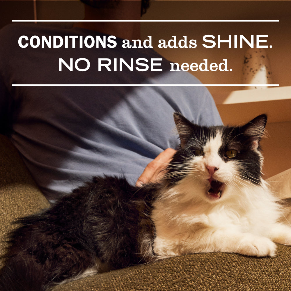 Cat Care Set - for Convenient Coordinated Home Care