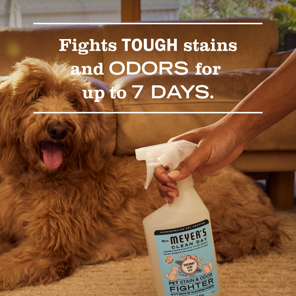 Dog Care Set - for Convenient Coordinated Home Care