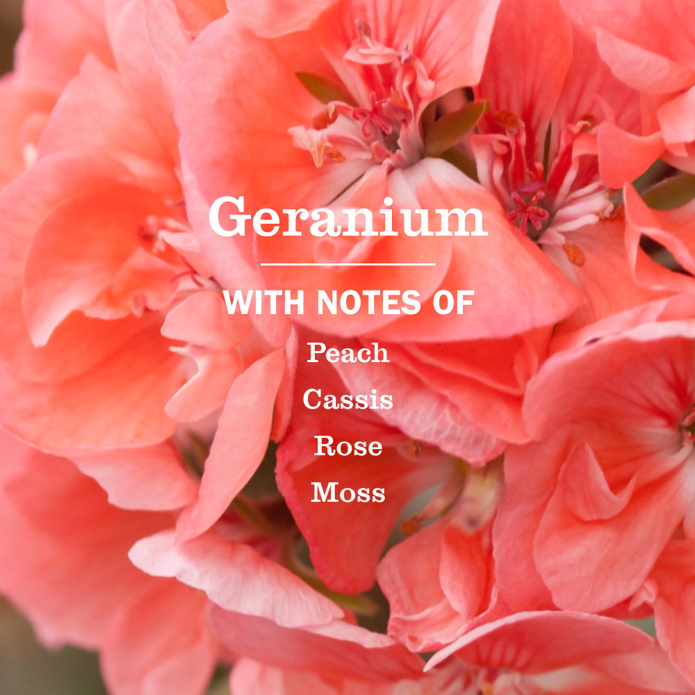 Mrs. Meyers Geranium Liquid Hand Soap - for Convenient Hand Care