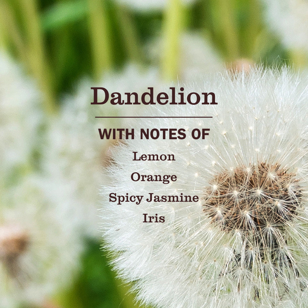 Mrs. Meyers Dandelion Multi - Surface Everyday Cleaner - for Convenient Home Cleaning