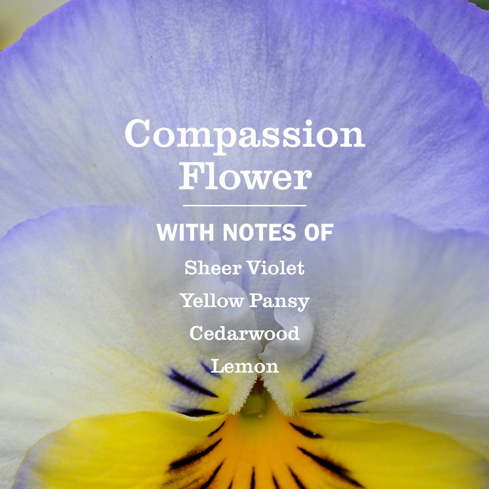 Mrs. Meyers Compassion Flower Dish Soap Refill - for Convenient Dishwashing
