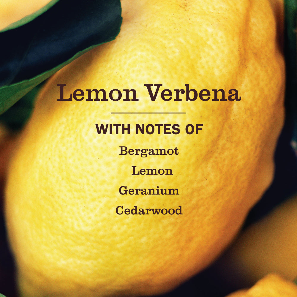 Mrs. Meyers Lemon Verbena Dish Soap - for Convenient Dishwashing