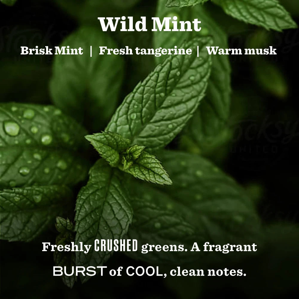 Mrs. Meyers Wild Mint Garden Heirloom Candle - for Convenient Home Fragrance