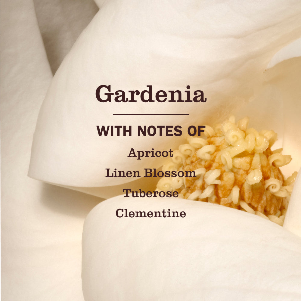 Mrs. Meyers Gardenia Liquid Hand Soap - for Convenient Hand Care