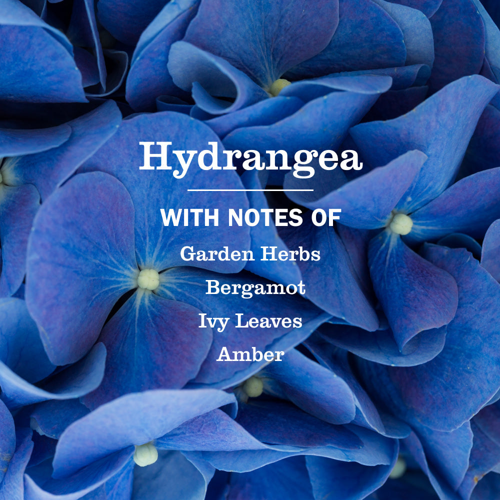 Hydrangea Liquid Hand Soap - for Convenient Hand Care