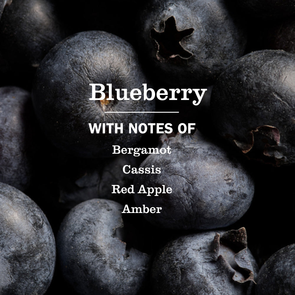 Blueberry Multi - Surface Everyday Cleaner - for Convenient Home Cleaning