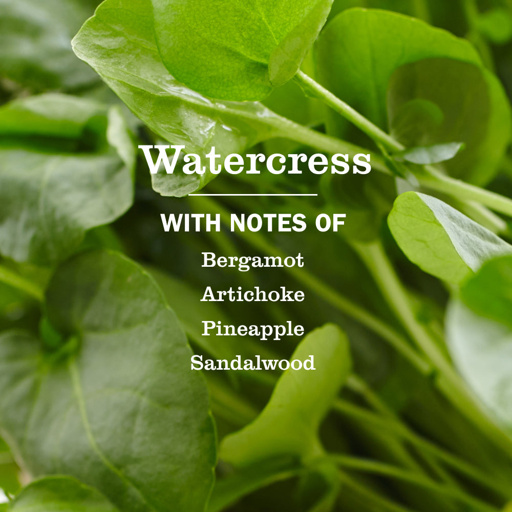 Watercress Liquid Hand Soap - for Convenient Hand Care