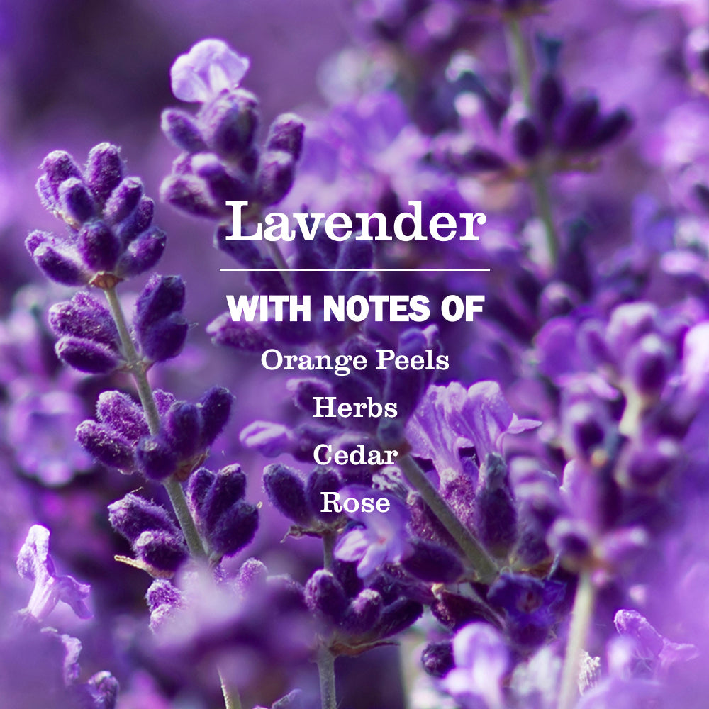 Mrs. Meyers Lavender Dish Soap - for Convenient Dishwashing