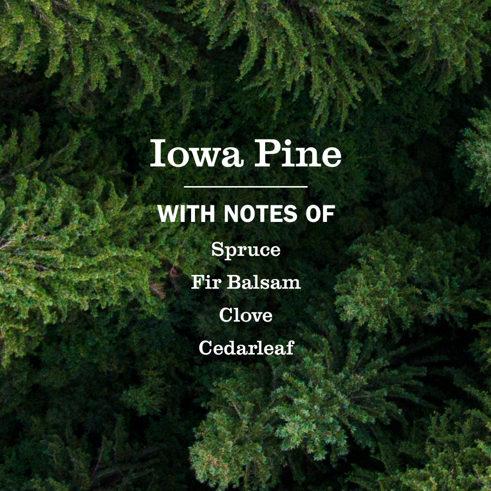 Iowa Pine Liquid Hand Soap and Refill Set - for Convenient Hand Care