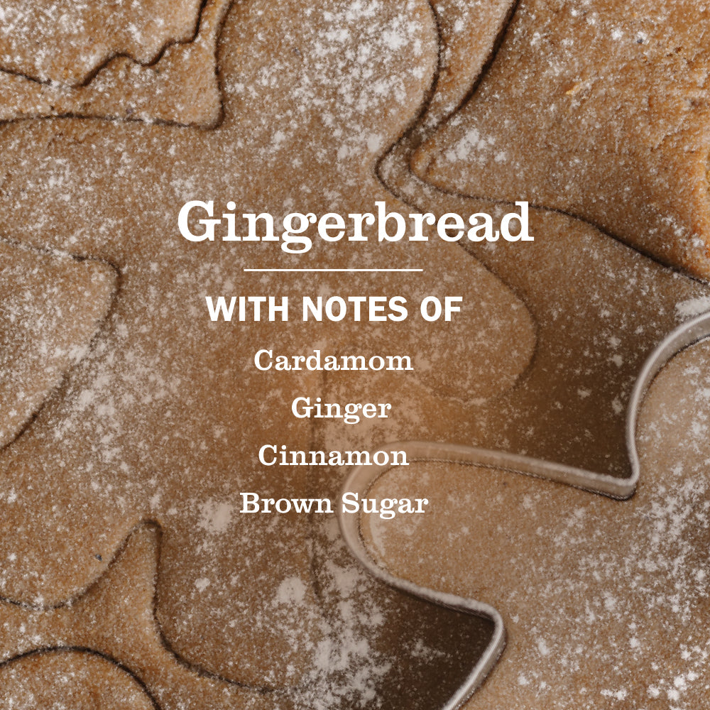 Gingerbread Liquid Hand Soap - for Convenient Hand Care