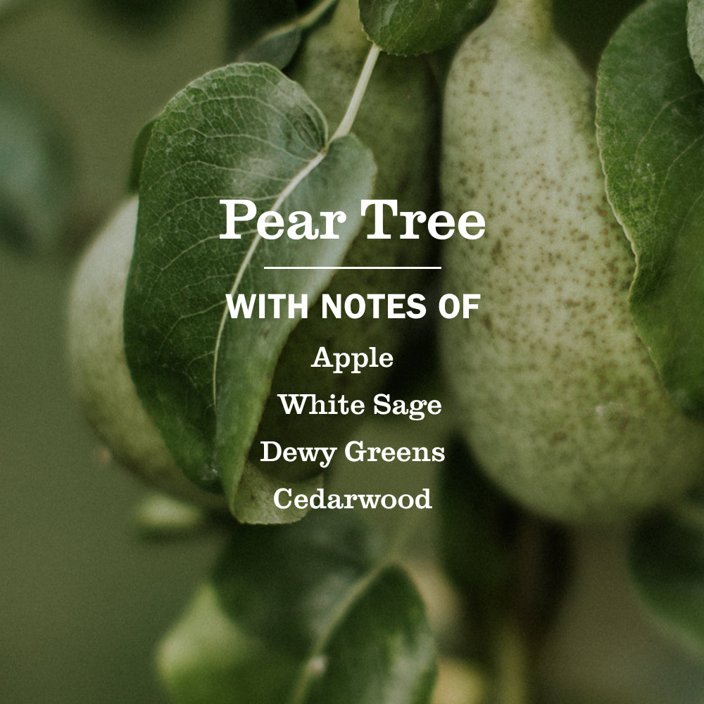 Pear Tree Multi - Surface Everyday Cleaner Mrs. Meyers - for Convenient Home Cleaning