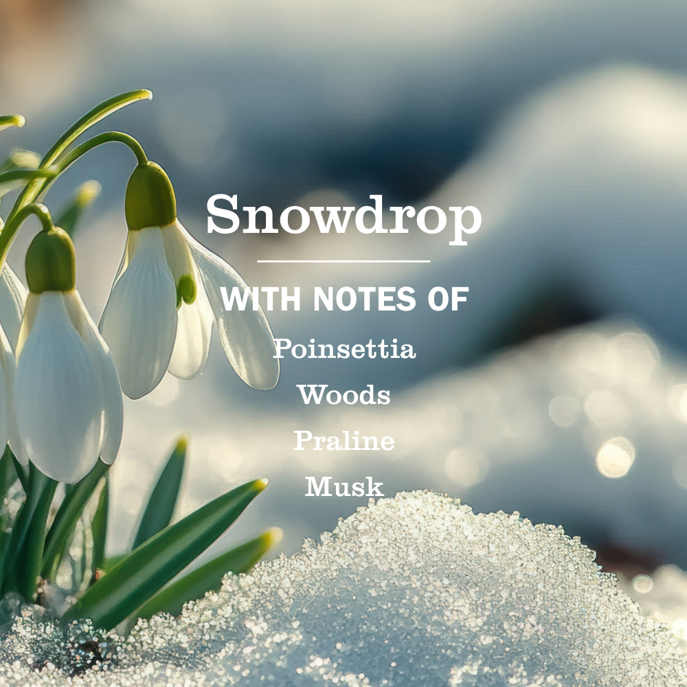Mrs. Meyers Snowdrop Liquid Hand Soap - for Convenient Hand Care