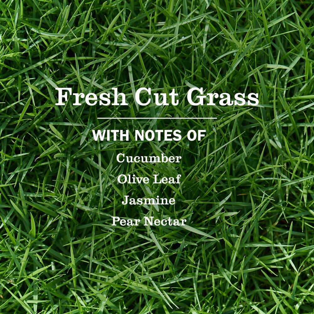 Mrs. Meyers Fresh Cut Grass Dish Soap 3 - count bundle - for Convenient Dishwashing