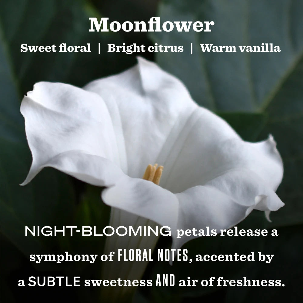 Mrs. Meyers Moonflower Garden Heirloom Candle - for Convenient Home Fragrance