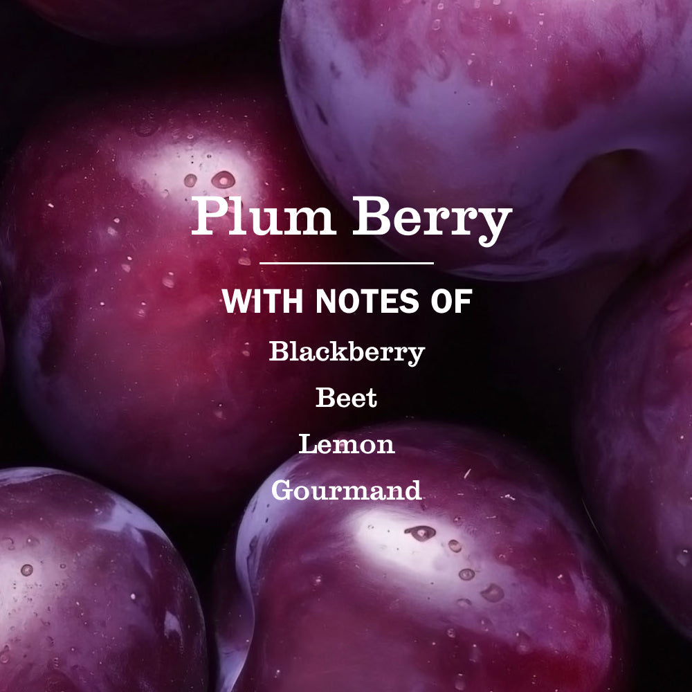 Mrs. Meyers Plum Berry Liquid Hand Soap Refill - for Convenient Hand Care