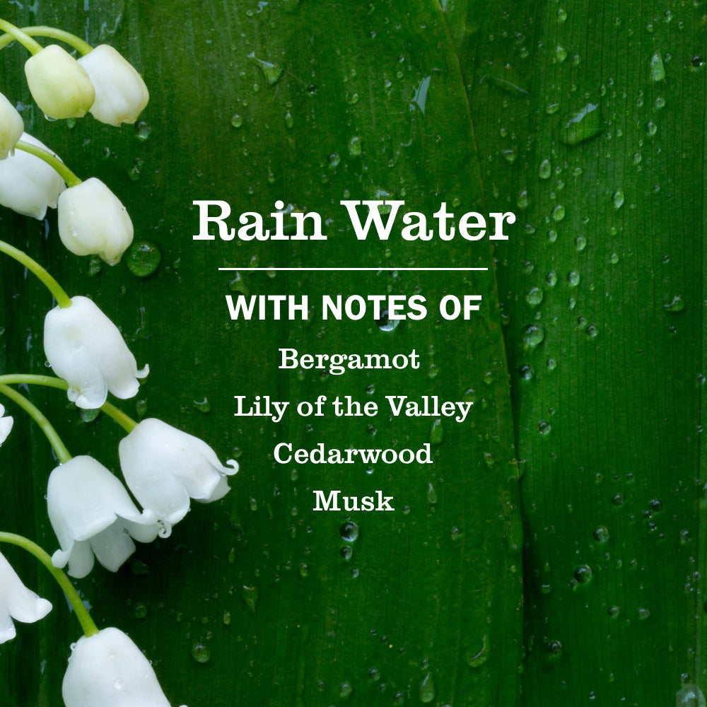 Rain Water Multi - Surface Everyday Cleaner - for Convenient Home Cleaning