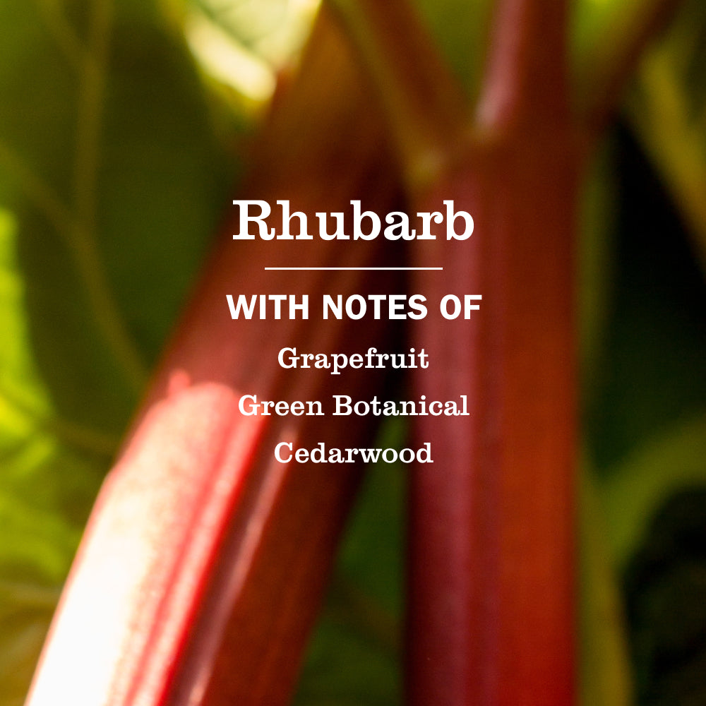 Mrs. Meyers Rhubarb Liquid Hand Soap - for Convenient Hand Care