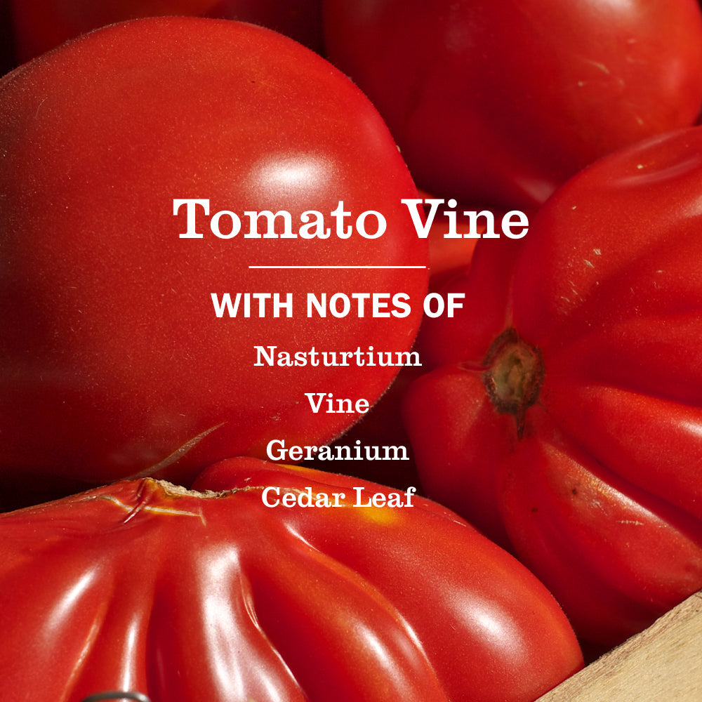 Mrs. Meyers Tomato Vine Dish Soap - Hand Care - for Convenient Hand Care
